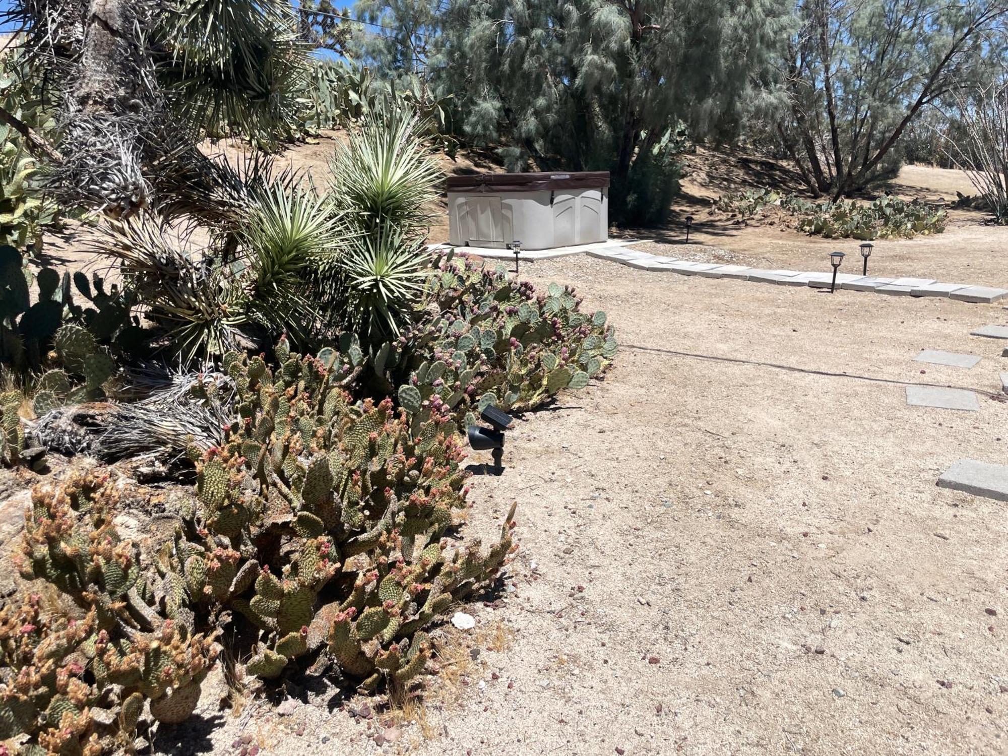 Mojave Desert Pied-A-Terre 야카밸리 외부 사진